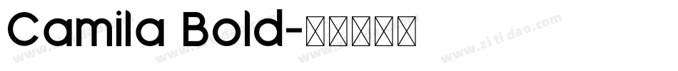 Camila Bold字体转换